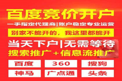 成功案例：SEM竞价托管的策略与效果