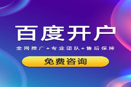 搜索引擎营销（SEM）在电商行业的投放策略案例